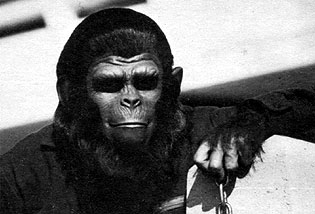 Roddy McDowall as Caesar in CONQUEST OF THE PLANET OF THE APES